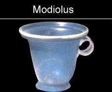 modiolus Glas römisch