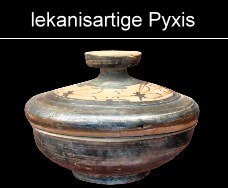 lekanisartige Pyxiden