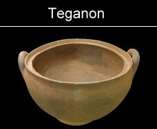 teganon