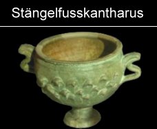 Stängelfusskantharus