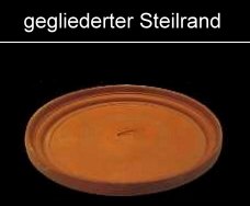 Teller mit gegliedertem Steilrand