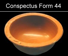 Schale Conspectus Formarum 44