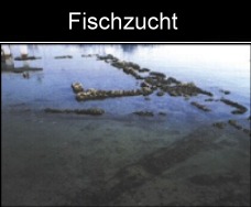 römische Fischzucht