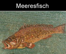 römische Fische Salzwasser