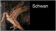 Schwan