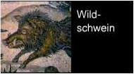 Wildschwein