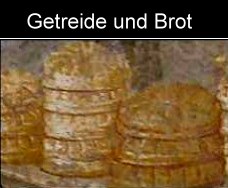 römische Lebensmittel  Getreide der Römer
