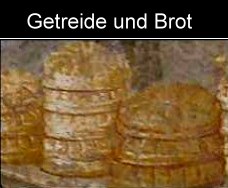 römische Lebensmittel  Getreide der Römer