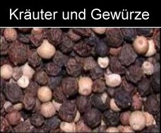 römische Kräuter und Gewürze