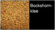 Bockshornklee