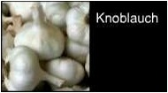 römische Lebensmittel Knoblauch