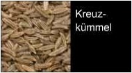 römische Lebensmittel Kümmel