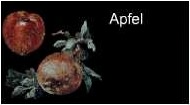 Apfel