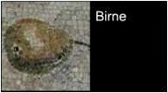 Birne