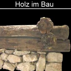 römische Holzbauten