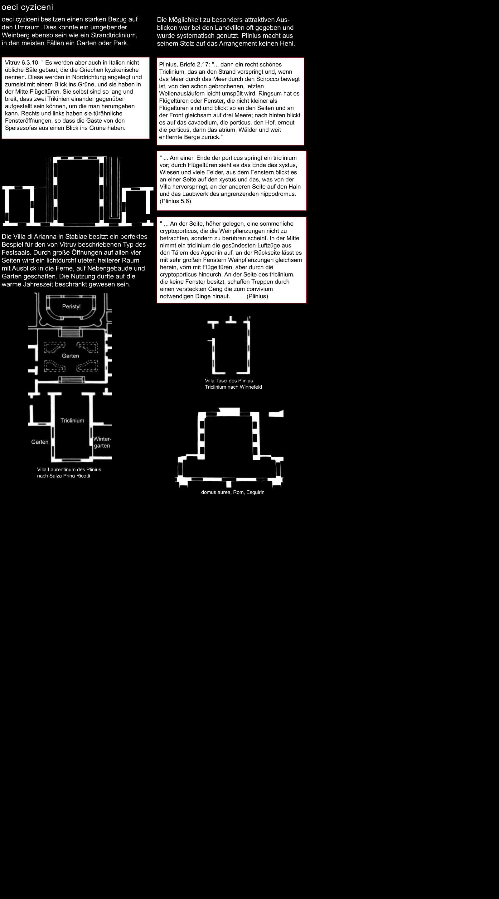 tricliniumgross3