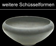 weitere gallische TN Schüsselformen