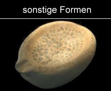sonstige Formen römischer Reiben