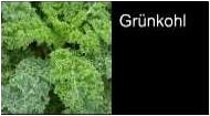 Grünkohl